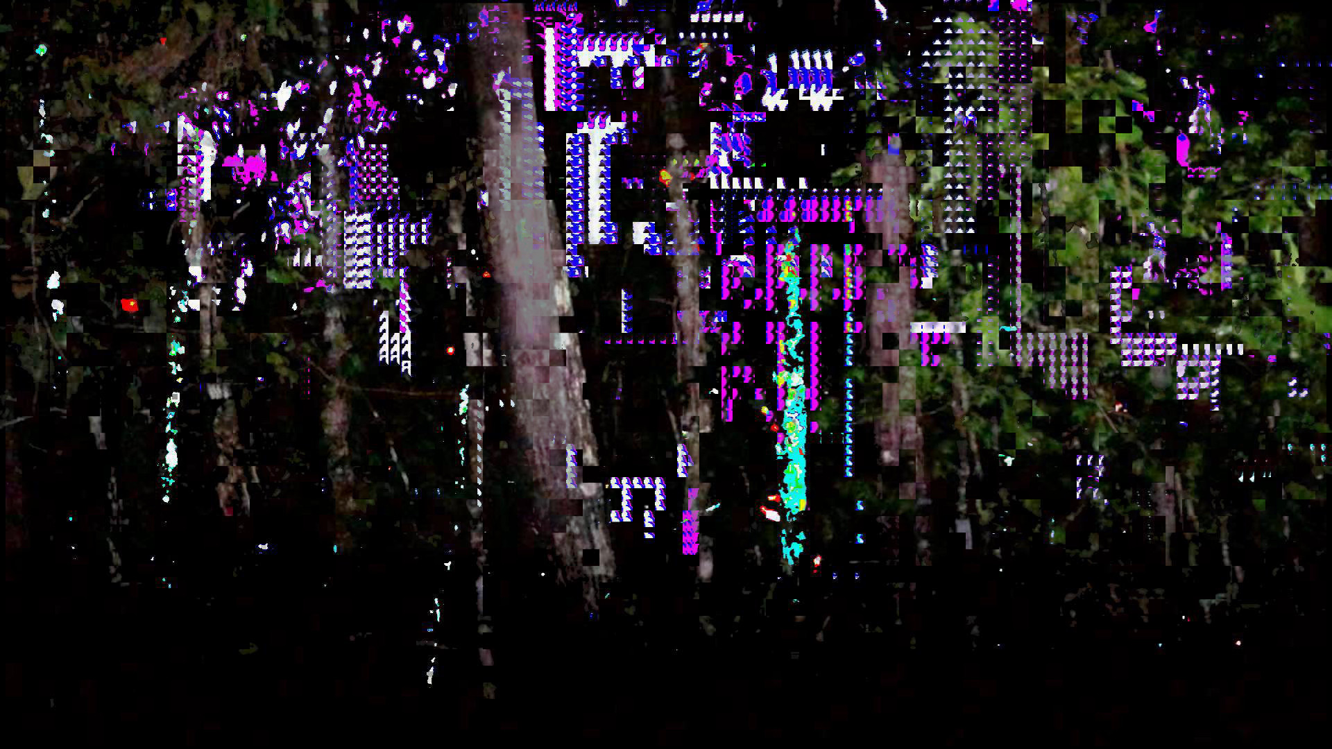 A still from Picture a Forest of a glitchy forest landscape